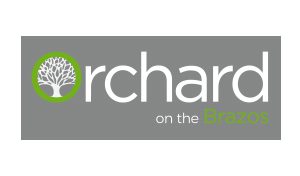 Logo with a stylized tree and text Orchard on the Brain.